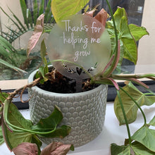 Load image into Gallery viewer, Plant Stake - Teacher Gift | Thanks for helping me grow - Love and Labels
