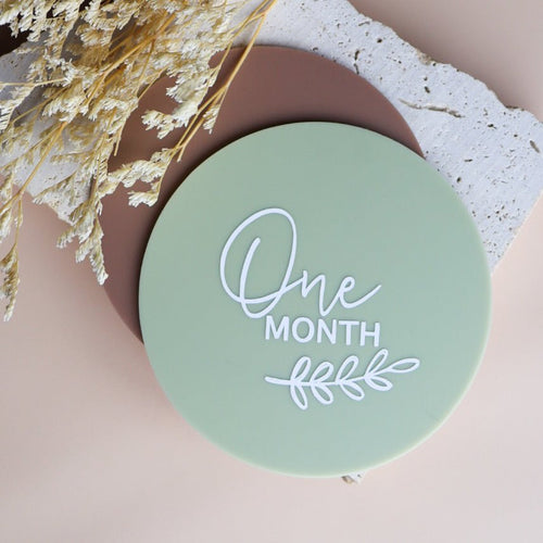 Acrylic Baby Milestone Discs - 12 Month Set - Love and Labels
