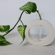 Load image into Gallery viewer, propogation vase, handmade homewares australia, test tube plant - love and labels
